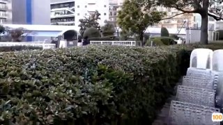二零二三五月十五号-最新精选美女直播新人你最爱的女人